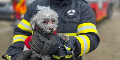 catel salvat de pompieri TOTO ISU GIURGIU jpg