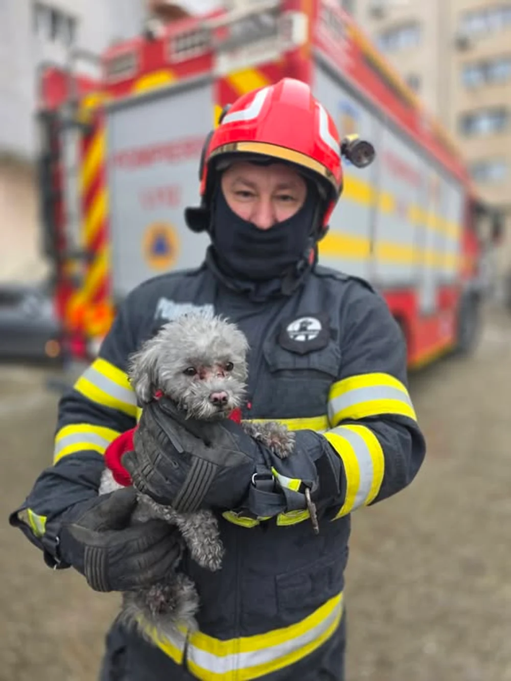 Incendiu într-un bloc din Giurgiu. Zeci de persoane s-au autoevacuat. Pompierii au salvat un cățeluș ascuns într-un șifonier