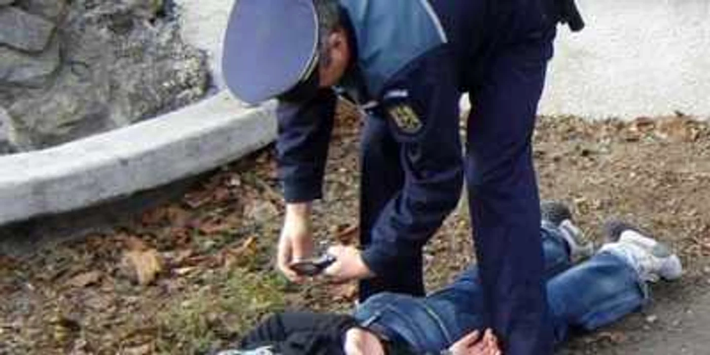 Poliţist în acţiune