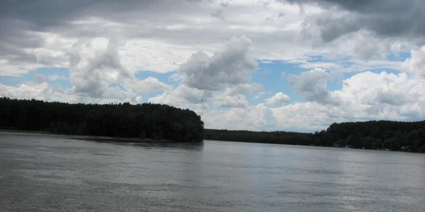 calarasi borcea