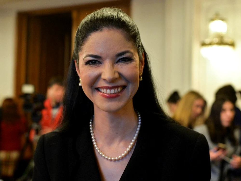 Ana Birchall, viceprim-ministru