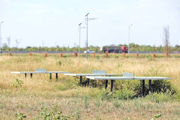 Mesele de tenis sunt înconjurate de iarba înaltă