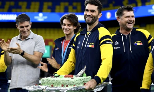 horia tecau tort cupa davis jpeg