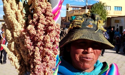 Alimentul Quinoa are calităţi nutritive excepţionale  (Foto: Reuters) jpeg