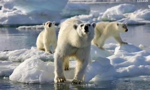 Planeta îngheţată vă aşteaptă în Pasaj la Universitate jpeg