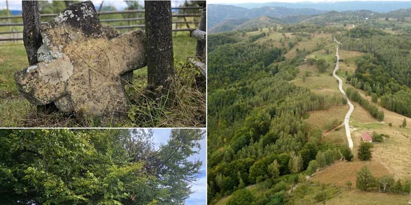 Satul Târsa din Hunedoara  Foto Daniel Guță ADEVĂRUL jpg