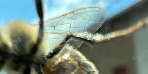 inbound8882009172761352259 jpg