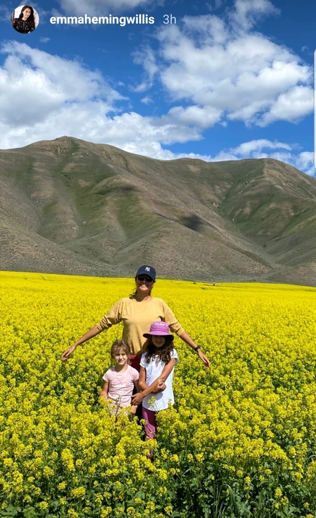 screenshot 20200619 103233 instagram jpg jpeg