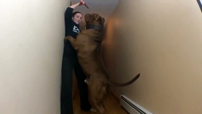 
    captură: youtube.com  