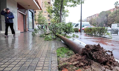 Regiunea Murcia se confruntă cu cele mai mari inundaţii din ultimii 35 de ani jpeg