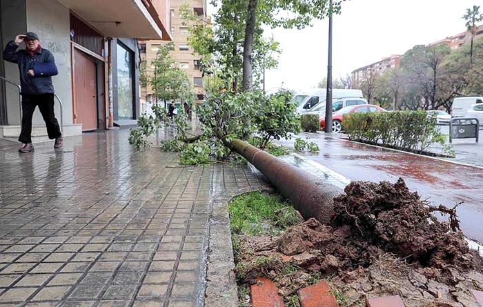 Regiunea Murcia se confruntă cu cele mai mari inundaţii din ultimii 35 de ani