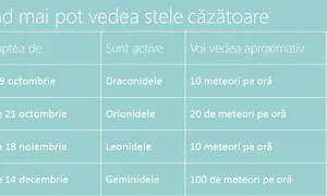 sursa: lastele ro jpeg