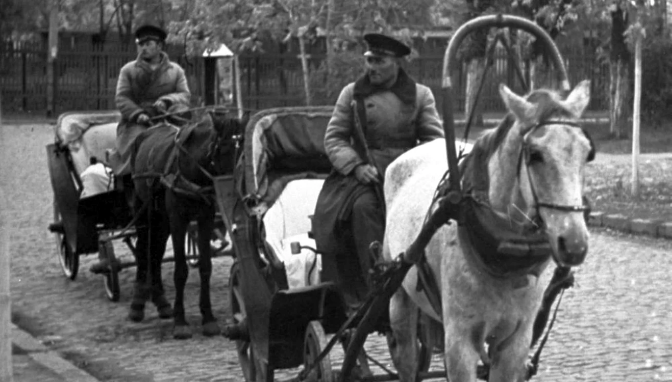 Muscali în Bucureşti
