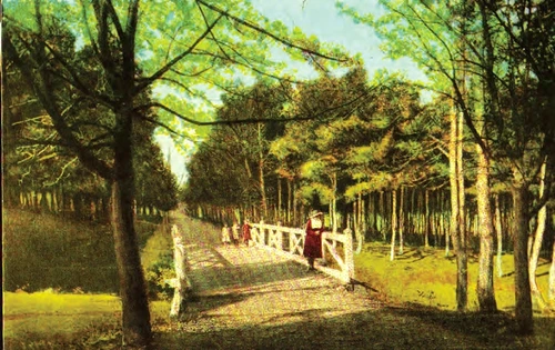parcul din Orastie jpg jpeg