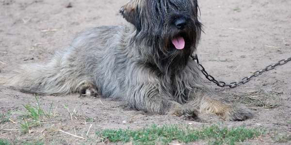 FOTO Animalzoo.ro
