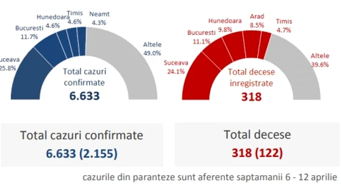 Distribuția pe județe a infecțiilor și deceselor