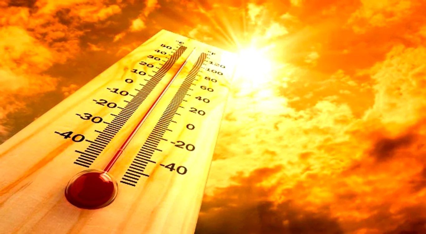 
    Săptămâna aceasta vor fi până la 38 de grade, la umbră  