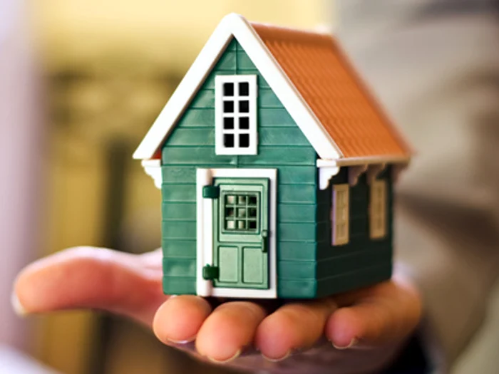 
    Ministrul Finanţelor, Ioana Petrescu Foto Adevarul  