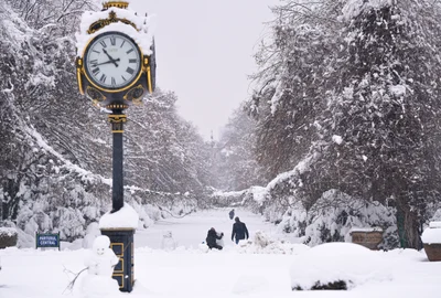 Ninsoare abundenta in Bucuresti, FOTO Mediafax - zapada 