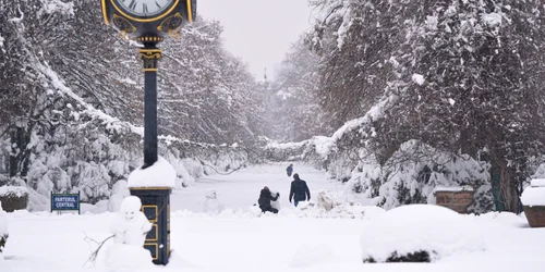 Ninsoare abundenta in Bucuresti, FOTO Mediafax - zapada 