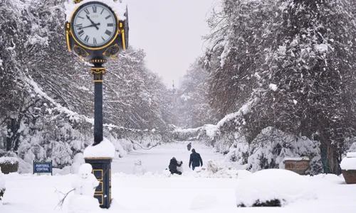 Ninsoare abundenta in Bucuresti, FOTO Mediafax - zapada 