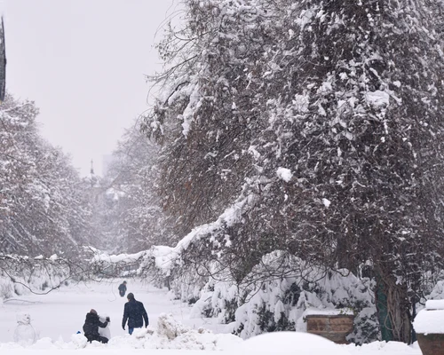 Ninsoare abundenta in Bucuresti, FOTO Mediafax - zapada 