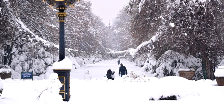 Ninsoare abundenta in Bucuresti, FOTO Mediafax - zapada 