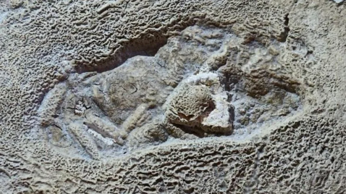 Povestea urmei Omului de Neanderthal din Gheţarul de la Vârtop jpeg