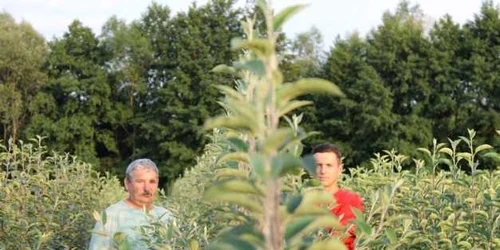 ioan cristea si-a deschis pepiniera in salaj FOTO ARHIVA PERSONAla