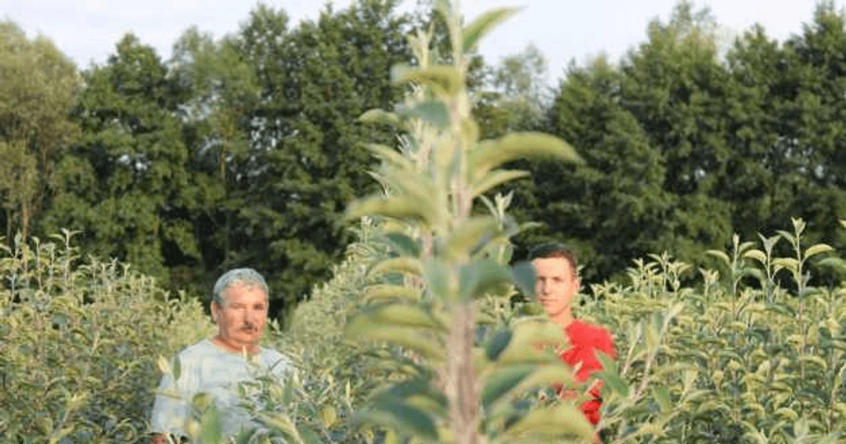 toamnă ceară combina Pepiniera de la Iaz, Sălaj, deschisă după 15 ani de muncă în Italia. „Sămânţa era deja plantată de părinţi“ VIDEO | adevarul.ro toamnă ceară combina Pepiniera de la Iaz, Sălaj, deschisă după 15 ani de muncă în Italia. „Sămânţa era deja plantată de părinţi“ VIDEO | adevarul.ro