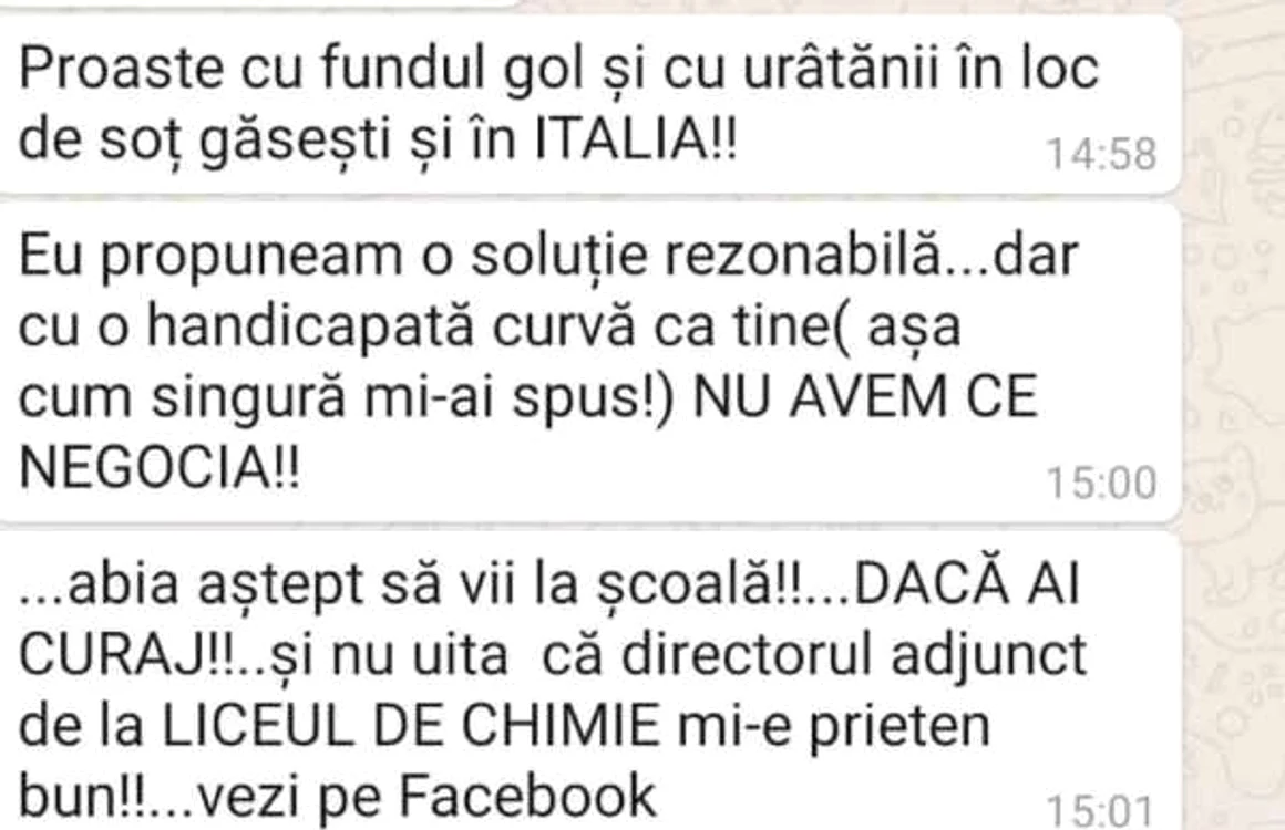 Fragment din limbajul grobian al profesorului FOTO Rise Project