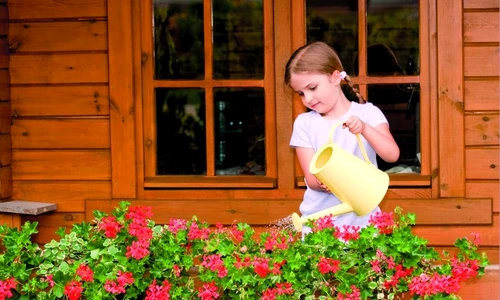 1 48303 original jpg jpeg