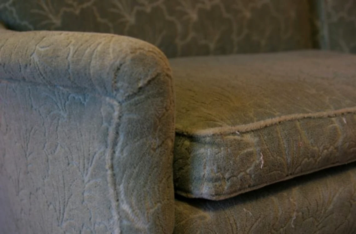 Mănâncă anual piese întregi de mobilier