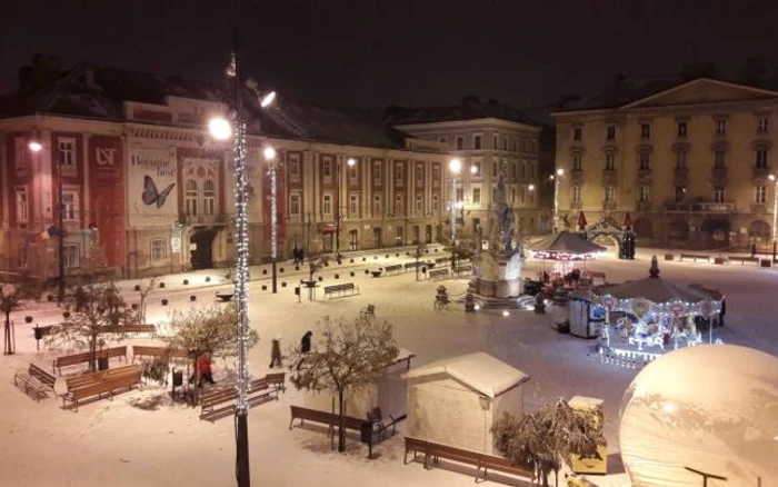 Prima ninsoare din 2019. Timişoara a îmbrăcat din nou haine albe FOTO Ş.Both