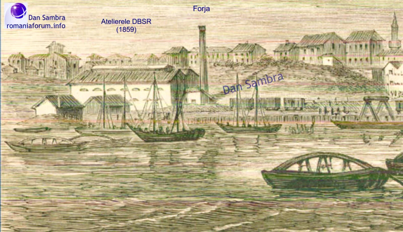 1877 Evelyne 2a jpg jpeg