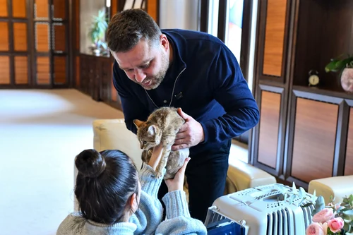 Ciprian Ciucu a adoptat o pisică rănită. FOTO: Facebook/Primăria Municipiului București