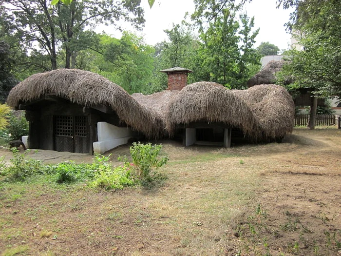 calarasi dimitrie gusti savantul care a infiintat muzeul satului foto muzeulsatului.ro