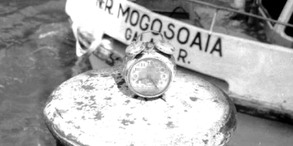 mogoşoaia
