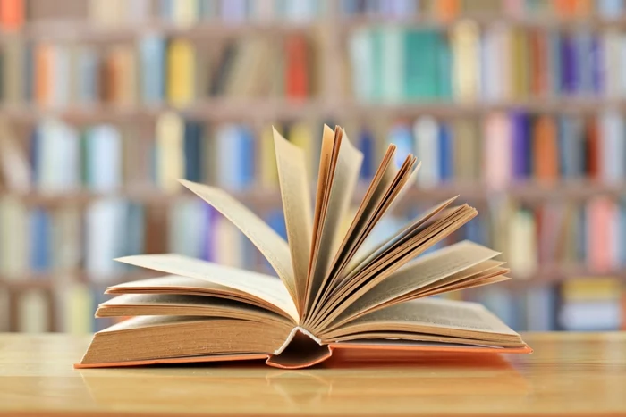 Ce înseamnă cuvântul „șăgalnic” / Foto: Shutterstock