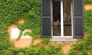 Avanpremieră editorială: Dincolo de ferestre jpeg