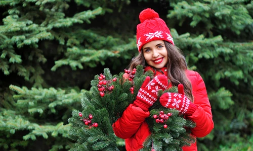 2 brad de craciun jpg jpeg