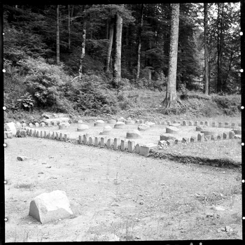 Sarmizegetusa Regia 1964  Foto Szabó Tamás, Muzeul Etnografic al Transilvaniei (46) jpg