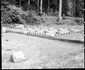 Sarmizegetusa Regia 1964  Foto Szabó Tamás, Muzeul Etnografic al Transilvaniei (46) jpg