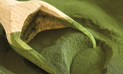 1 chlorella jpg jpeg