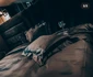 5 dormitorul adelinei pestritu casa noua 2 jpg jpeg
