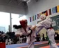 crina gheorghiu karate Galati 3