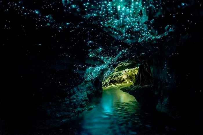 pestera Waitomo Glowworm