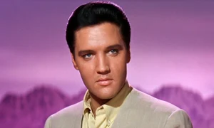 elvis bun profimedia 0642982238 jpg