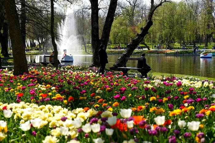 Orașul din România ce i-a impresionat pe doi turiști englezi. Foto: arhiva.