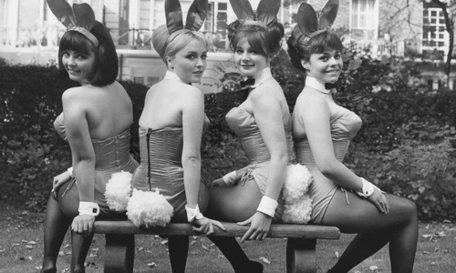 3 profimedia 0154544499 1 jpg jpeg